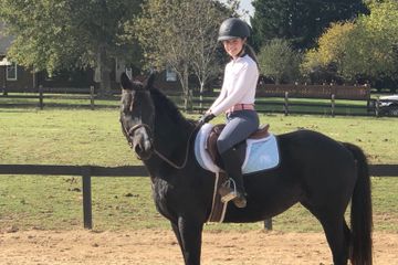 Lessons | Royal Oaks Equestrian Center